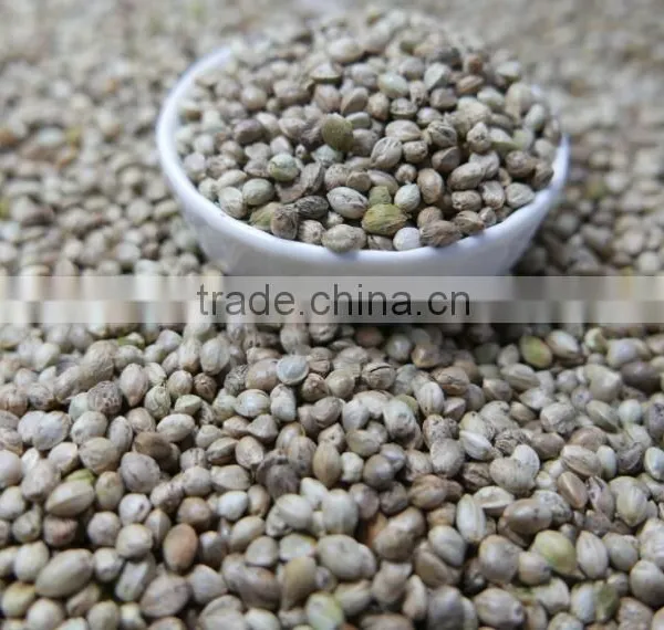 Hemp Seeds 2016 Crop photo-3