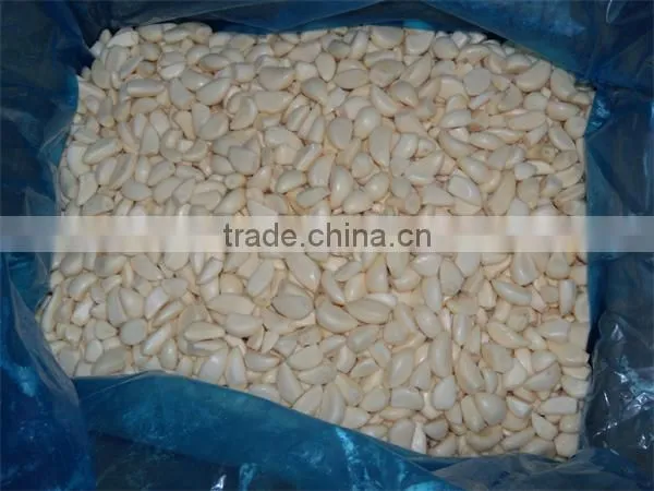 IQF Peeled Garlic for Sale / Frozen Garlic for Export photo-5