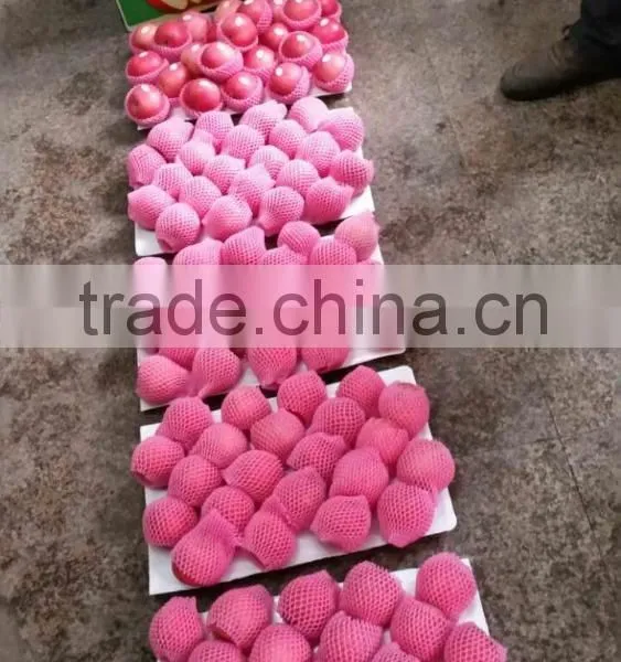 Hot Sale Chinese Fuji Apple photo-2