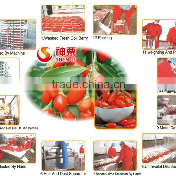 2016 Hot Sell Dried Goji Powder photo-5