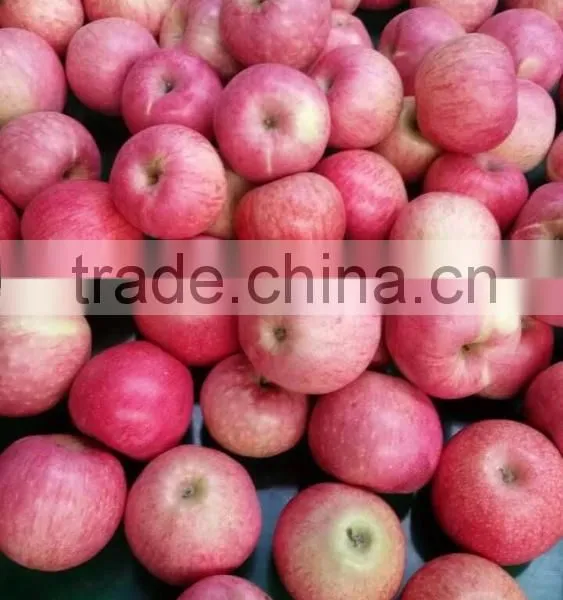 Paper Cap Bagged Qinguan Apple photo-2