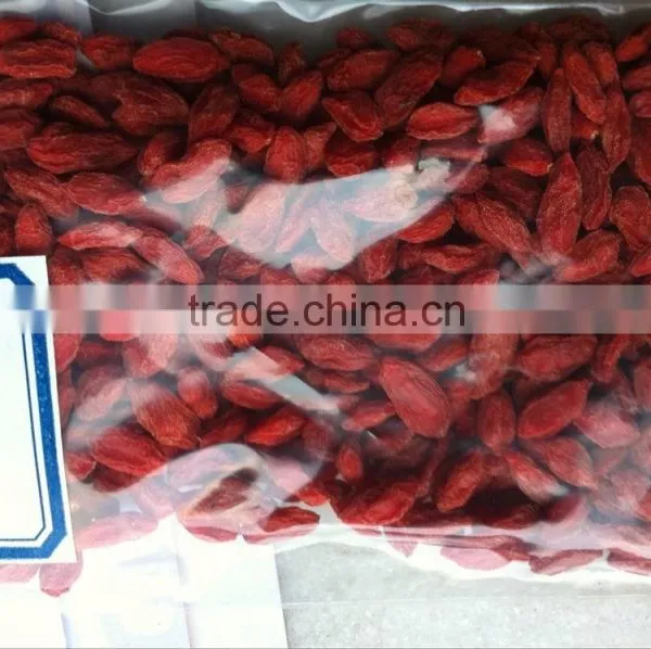 Goji Berry photo-6