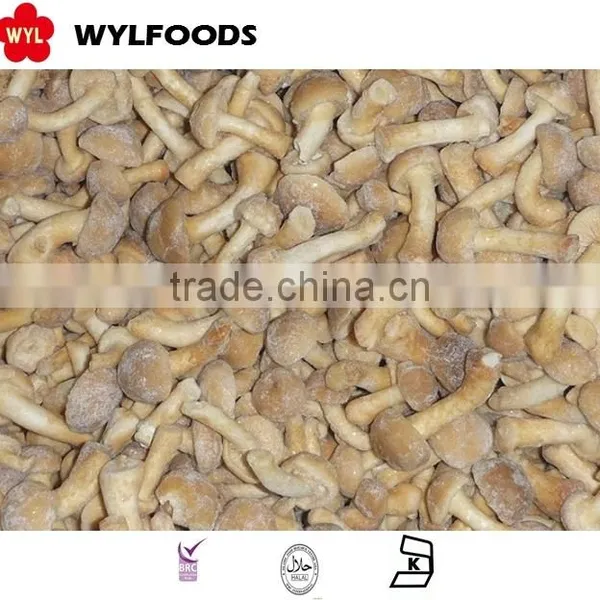 IQF Mushroom Grade B Nameko Wholesale Price photo-2