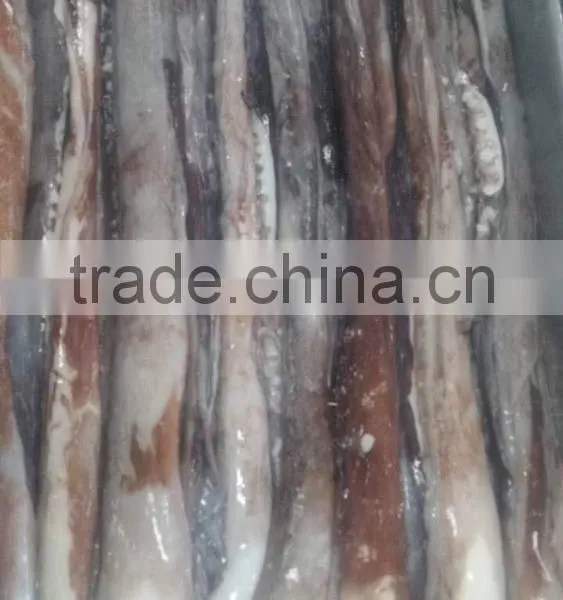 Frozen Giant Squid Long Tentacles