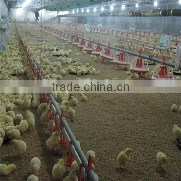 Chicken Feeder Pan photo-4