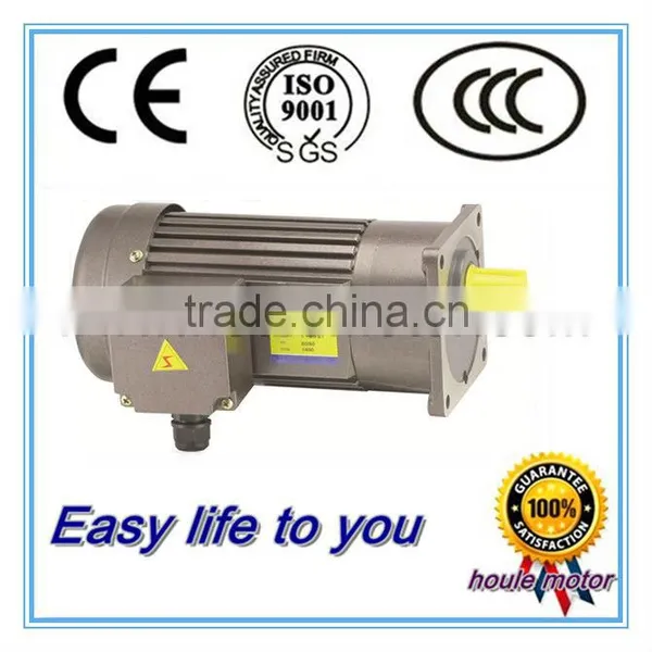 Houle GHH/GHV Medium Gear Reduction Motor 200 Watts