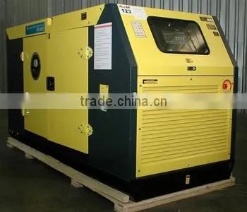 Chinese Best Quality Generator, Diesel Engine With Stamford Original Alternator photo-5