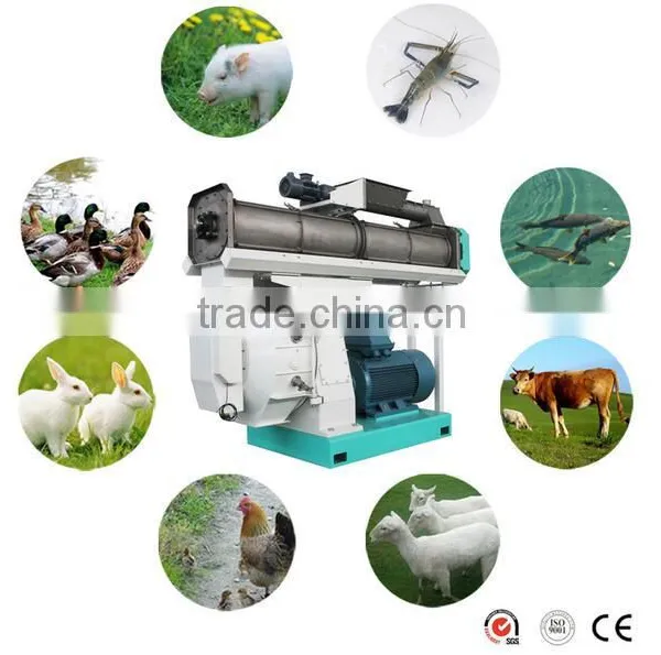 High Capacity Livestock Feed Making Machinery