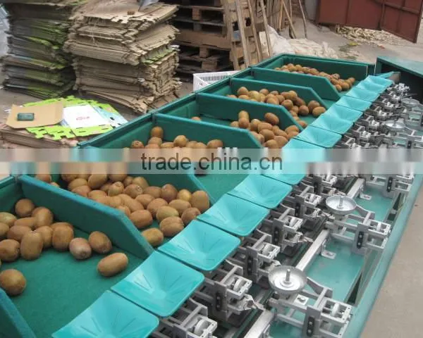 Melon Grading Machine Sorter Grader photo-2