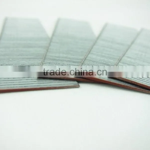 F25 Staple photo-2