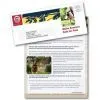 Personalization Direct Mailing photo-2