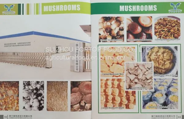 Factory Price Premium 400G Canned Mix Mushroom PNS in Brine (Pieces and Stem) photo-3