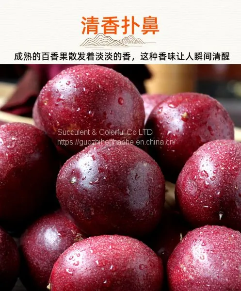 Passion Fruit photo-3