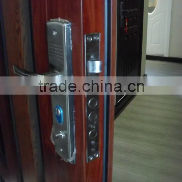 Steel Door (LT-315) With Two Colors photo-3