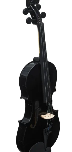 INNEO Violin - Vibrant Colored Violin Set: Perfect for Young Musicians!