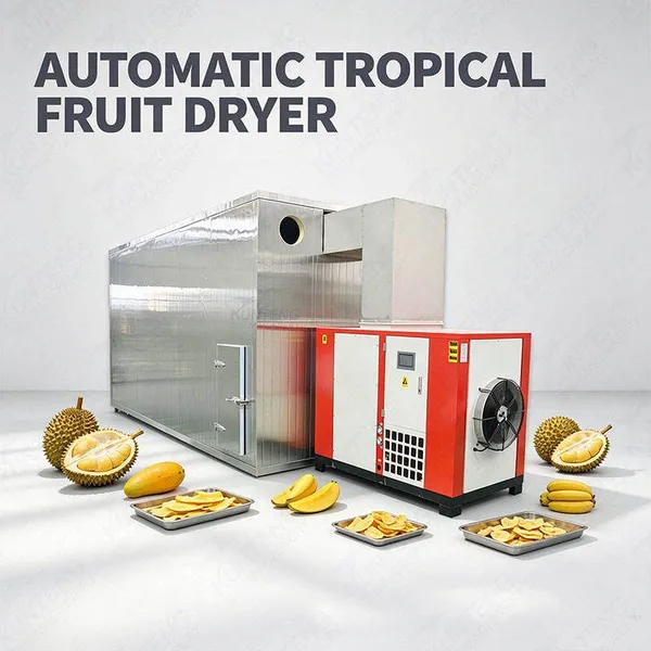 Automatic Durian Jackfruit Dryer Machine Commercial Fruit Drying Oven for Tropical Fruit Dehydration Production EPC