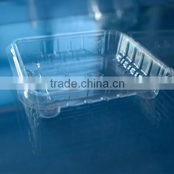PET Disposable Blister Blueberry Clamshell Container photo-4
