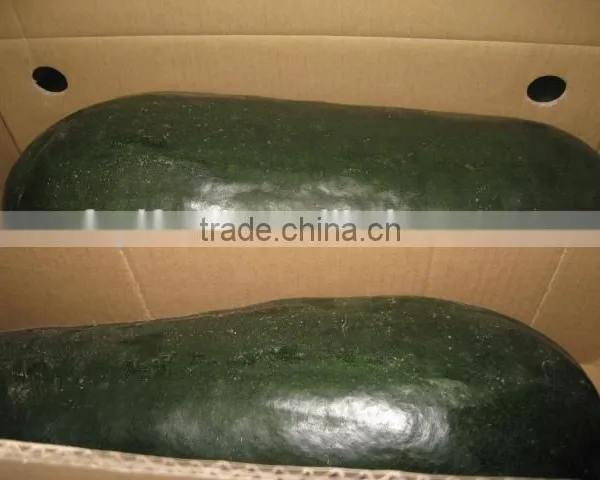 Chinese Fresh Winter Melon Fresh Wax Gourd Export photo-2