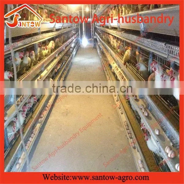How to Build Stable Steel Structure Battery Cages for Chickens photo-6