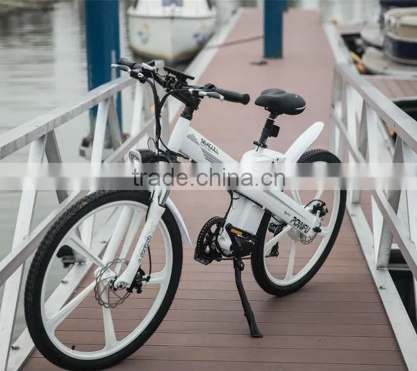 Hot Sale EN 15194 Electric Bicycle With Motor Front Mag Wheel photo-3