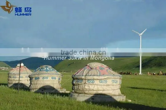 30KW Home Used Wind Energy Generator,wind Power System photo-4