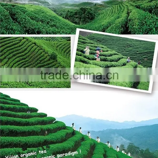 Hot Sale Healthy Food Warm Stomach Organic Tea Top Quality Black Tea China Supplier photo-3