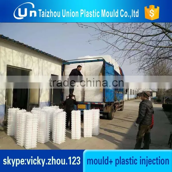 Professional Manufacturer Make Molds for Egg Tray photo-4