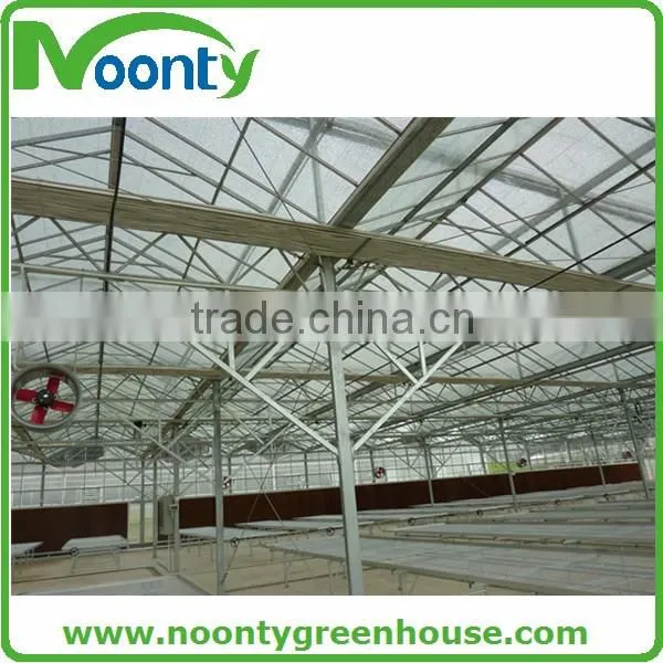 Commercial Glass Greenhouse photo-5