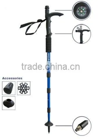 Walking Pole