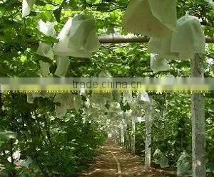White Kraft Fruit Paper Bag for Grape Growing