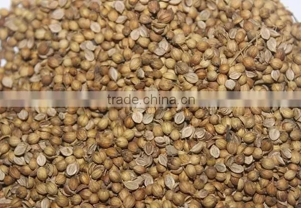 CORIANDER SEED