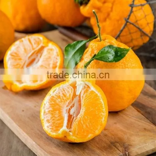 Mandarin Orange Sacs