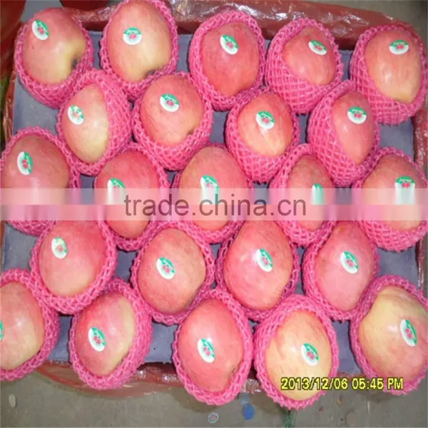 Best Price Fresh Thin Peel Fuji Apple photo-3