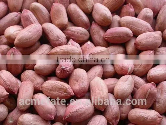 New Production Big Size Blanched Peanut Kernels(ground Nut Seeds) photo-5