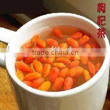 Chinese Wolfberry/Barbary Wolfberry