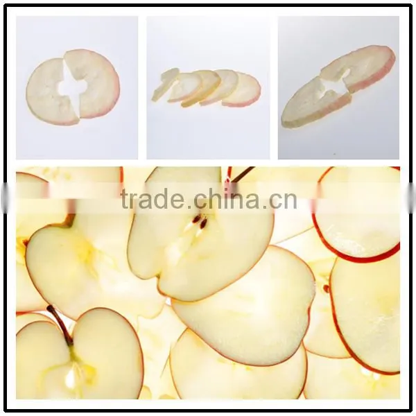 Exporter of Dry Fruits Apple Rings China Supplier