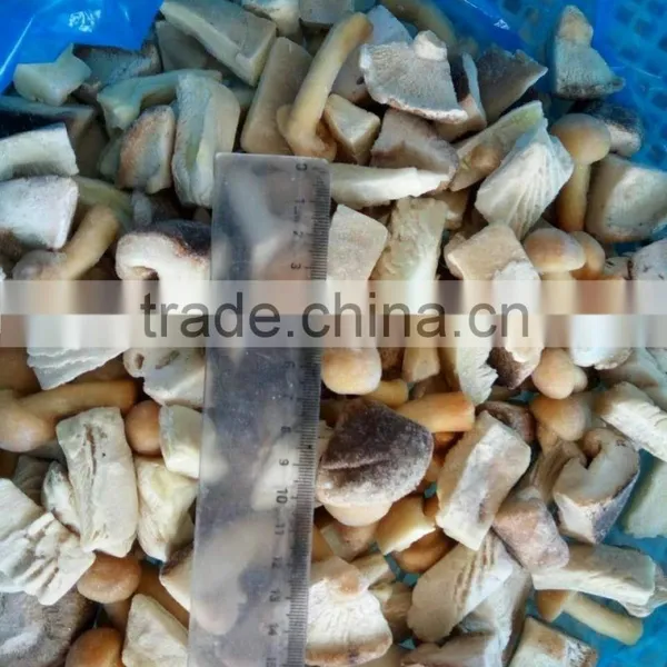 Export Bulk Package Dried Mushroom photo-5