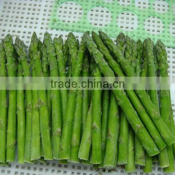 Top Quality Frozen Green Asparagus for 1 kg Packed per Carton photo-2