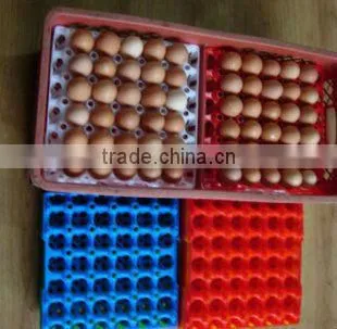 Plastic egg tray making machine supplier