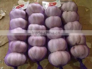 2016 New Crop Factory Garlic