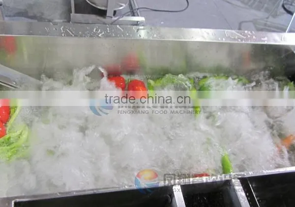 Chinese Indrustrial Stainless Steel High Pressure Ozone Vegetable and Fruit Washer photo-2