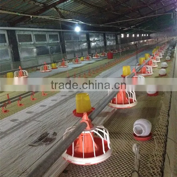automatic equipment for chicken raising