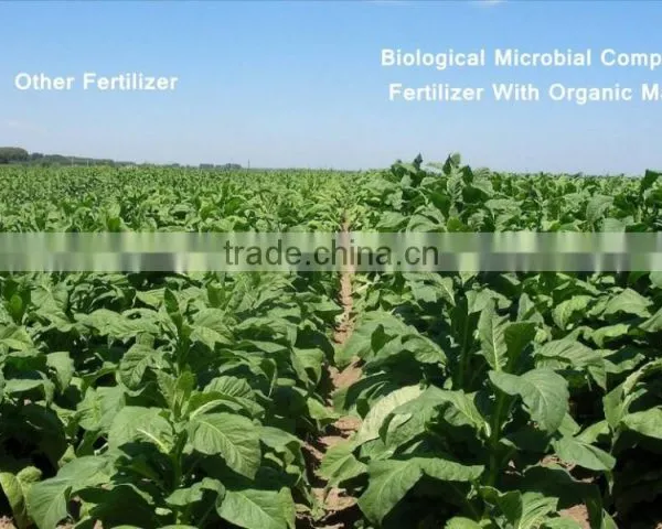 Biological Microbial Compound Fertilizer With Organic Matter photo-4