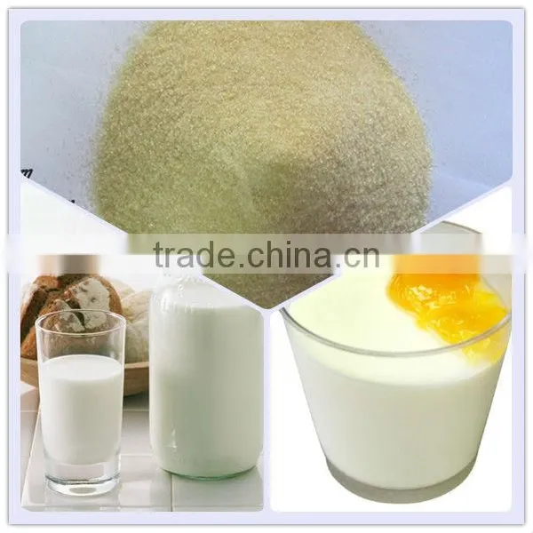 Gelatin Powder in Granules/milk Powder Gelatin/bovine Bone Halal Gelatin