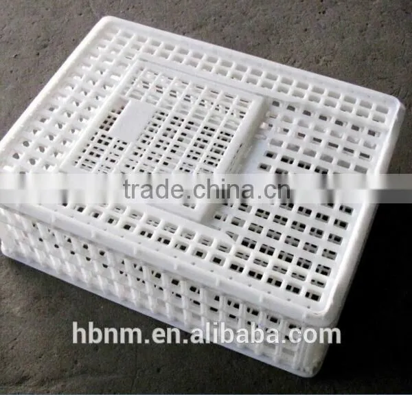 China Best Price Plastic Chicken Transport Cage for Poultry Farms photo-5