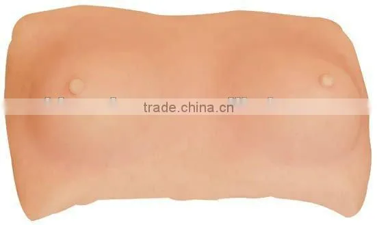 MEDICAL AND TEACHING MODEL-ADVANCED BREAST EXAMINATION MODEL LM4068