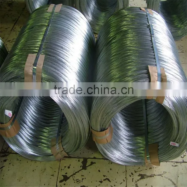 Factory Direct Electro Galvanized Iron Wire (soft and Competitive Price )/Galvainzed WIre photo-1