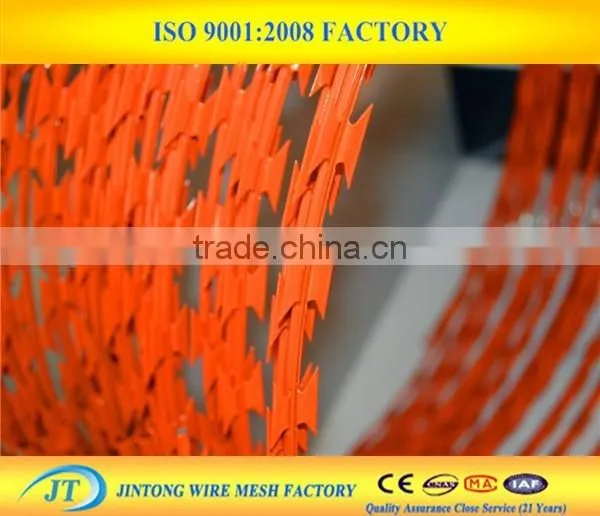 Wholesale Price Razor Wire Security Fencing Spikes photo-2