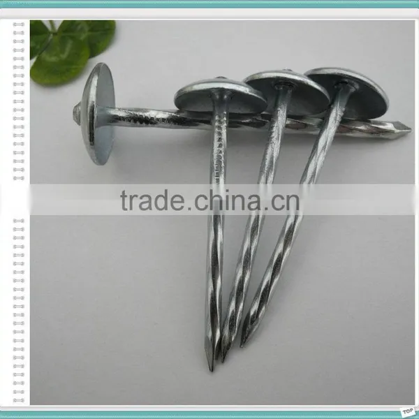 Corrugated Roofing Nails Manufacturers in China photo-6