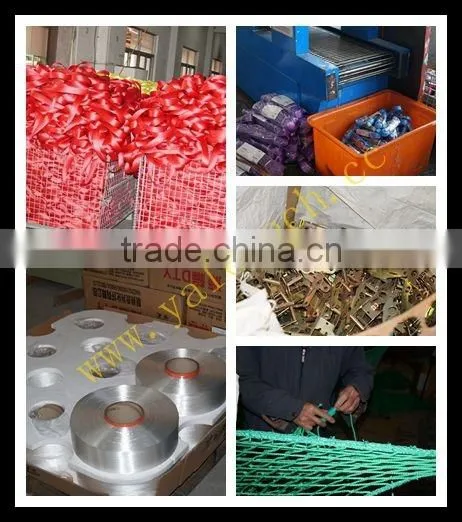 Safety Netting / Cargo Net / Cargo Netting / Trailer Net With Hooks PP PE Material for Germany / Holland / Australia Market photo-6
